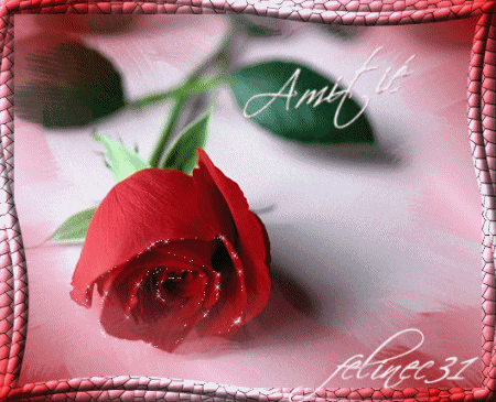 rose.